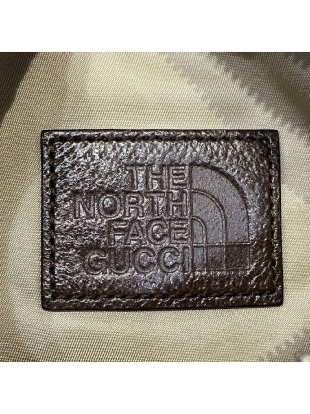 Gucci the North Face Waist Pouch Belt - Picture 5 of 9